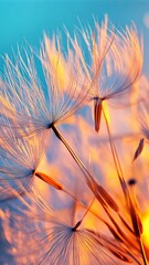 Poster - Close-up of dandelion seeds against a vibrant blue sky, ethereal nature concept