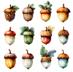 Wall Mural - Watercolor acorns, clipart on a white background, autumn season, oak leaves