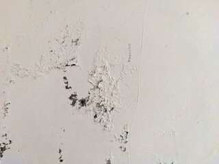 The white-painted wall shows signs of age as the paint peels and cracks due to lingering moisture. Dampness has softened the surface, revealing patches beneath, adding a weathered.