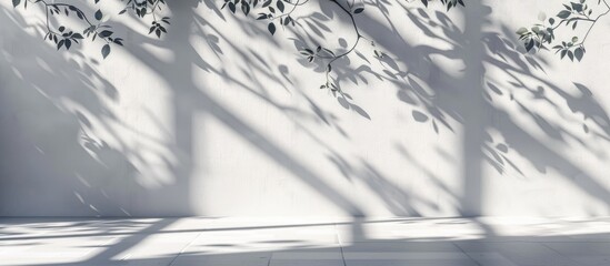 Sticker - White concrete floor and walls cast light gray shadows with leaf and branch patterns forming a natural design providing a view perspective and copy space image