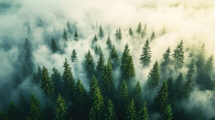 A forest under a cloud of industrial CO2 emissions, visualizing the effect on biodiversity