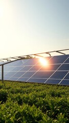 27 solar panels of an agrivoltaic canopy glistening in the sun installed above a field of crops demonstrating sustainable agriculture in france solar panel Ultra realistic Photorealistic 