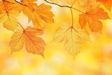 Wall Mural - Vibrant autumn leaves in various shades of orange and red create a textured natural background.