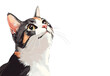 © dzenfm - Illustrated calico cat gazing upward