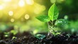 © Oulailux - Innovative hydrogen solutions for agriculture, enhancing crop yield and reducing emissions in farming operations