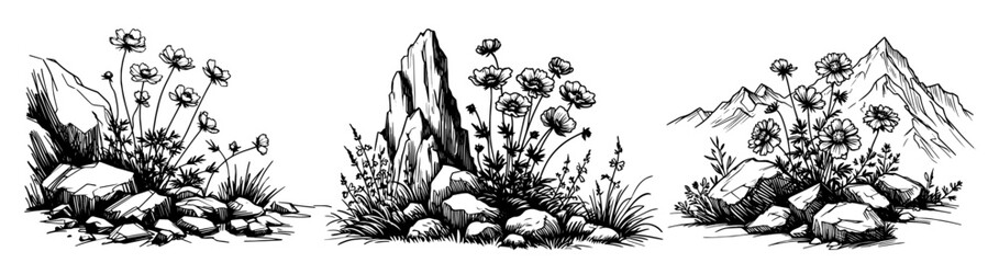 Wall Mural - Mountain flora and rocky terrain illustrations – black vector