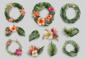 Set of beautiful decorative tropical wreath collection isolated on transparent background