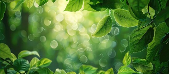 Wall Mural - Nature themed background with green leaves and ample copy space image