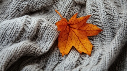 Poster - Cozy arrangement featuring an autumn leaf on a merino wool blanket creating a warm and inviting ambiance Flat lay with a knit texture and ample space for text Autumn theme
