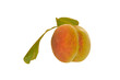 © Oleg - apricot isolated on white background