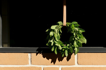 Wall Mural - A wreath of green leaves hangs from a window