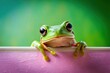 © Kingphet - Green frog peeking over pastel bright background