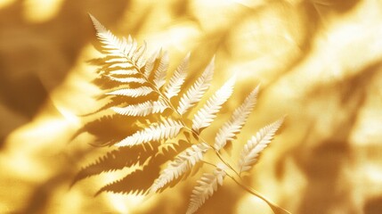 Aufkleber - White fern leaf casting shadow design element on a golden backdrop illuminated by sunlight featuring ample copy space
