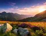 Poland, Tatra Mountains, Zakopane - Swinica, Krotka, Krywan peaks, Cicha Dolina and Walentkowa Dolina Valleys with High Tatra mountain range panorama in background
