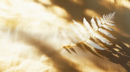 Aufkleber - White fern leaf casting shadow design element on a golden backdrop illuminated by sunlight featuring ample copy space