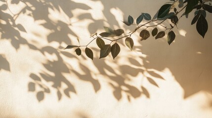 Poster - Shadow of leaves cast on a light colored wall