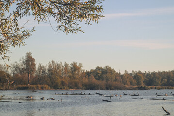 Belgium, Harchies - October 26, 2024 : beautiful view of the Harchies marshes