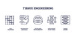 © VectorMine - Tissue engineering involves cell scaffolds, microscopes, and DNA strands to innovate medical solutions. Outline icons set.