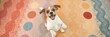© Walapon - Playful brown and white dog striking a pose on a colorful carpet, domestic, cheerful, posing