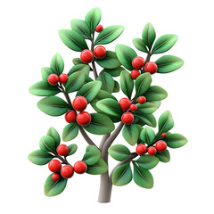 Wall Mural - a holly branch 3D icon Christmas decoration green with red berries isolated on white and transparent background