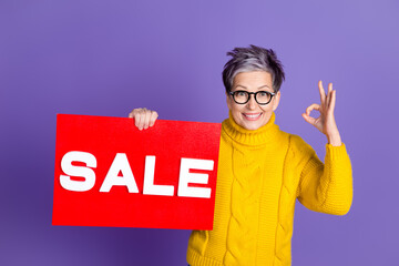 Photo of cheerful pretty lady dressed knitted jumper rising sale poster showing okey gesture isolated purple color background