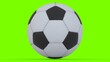 © Masihullah - football with green background