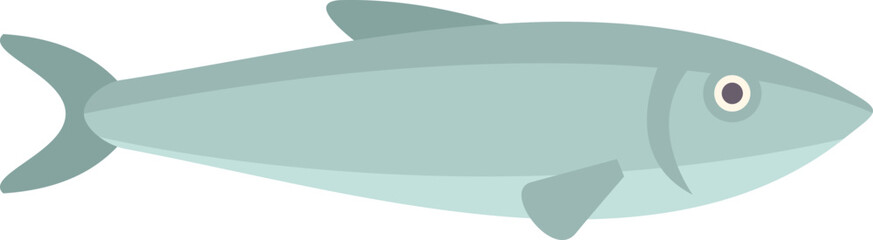 Poster - simple and colorful vector illustration of a sardine swimming in the water