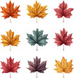© Naz - Autumn maple colorful leaves set isolated on transparent white background, png element. Fall maple foliage collection