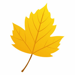 One autumn leaf on a white leaf is yellow vector illustration 