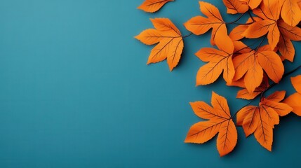 autumn leaves on a blue background