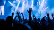 © Mahemud - Crowd raising hand in the air and enjoying concert on a festival