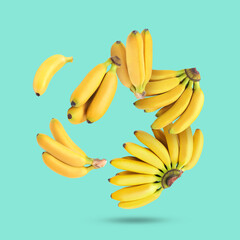 Many yellow bananas falling on turquoise background