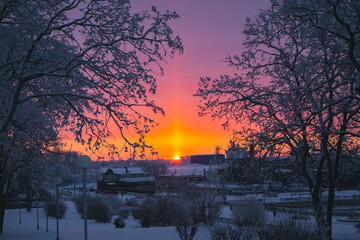 A beautiful sunset casting warm hues over a snowy area, with tall trees elegantly framing the foreground of the serene scenery