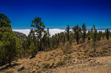 Wall Mural - Gebirge auf Teneriffa