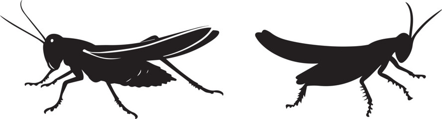 Wall Mural - silhouette of a grasshopper jumping in mid-air, vector silhouette