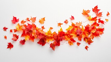 Fototapete - Artistic white background displaying a swirl of autumn maple leaves falling, evoking the dynamic movement and beauty of the fall season in a clean style