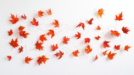 Aufkleber - Artistic white surface displaying a swirl of falling autumn maple leaves, reflecting the serene and picturesque nature of fall in a clean and effective manner