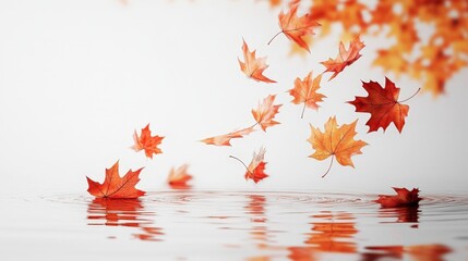 Aufkleber - Artistic white surface displaying a swirl of falling autumn maple leaves, reflecting the serene and picturesque nature of fall in a clean and effective manner