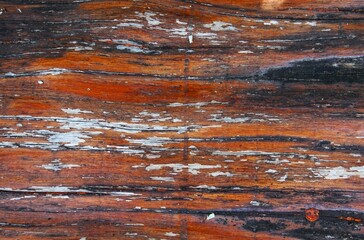 Wall Mural - photo of beautiful brown wood grain, looks old