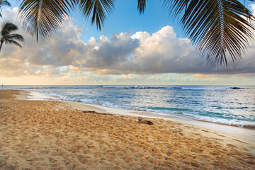 Wall Mural - Beautiful tropical beach with palm trees at sunset.