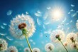 © Sathaporn Buarabut - Airy background with dandelion seeds floating in breeze against light blue sky