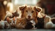 © BanklangArtshop - Adorable pets including a dog and several cats gathered together in a warm, cozy environment.