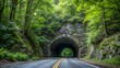 © Mst - Breathtaking Blue Ridge Parkway Tunnel Photography for Digital and Print Use