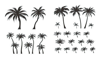 Poster - Tropical Palm Tree Silhouettes on Transparent Background Generative AI