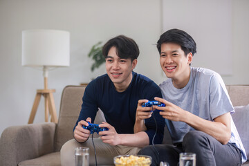 Young Boys Enjoying Video Games Together in a Modern Living Room Setting