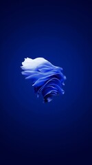 Leinwandbilder - Floating abstract blue and white form against a dark background