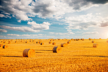 Aufkleber - Harvesting straw bales in the agricultural field under blue sky with clouds.