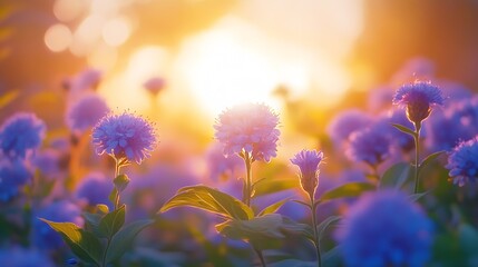 Canvas Print - Serene sunrise over purple wildflowers in a tranquil field setting : Generative AI