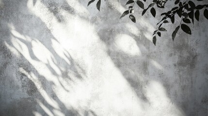 Poster - Grunge Cement Wall Texture in White and Gray Featuring Shadows of Leafy Plants