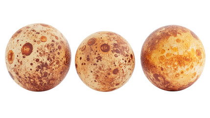 Poster - Three Venus Models on Transparent Background Generative AI
